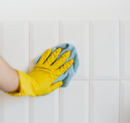 Carpet & Upholstery DeepAlways Cleaning