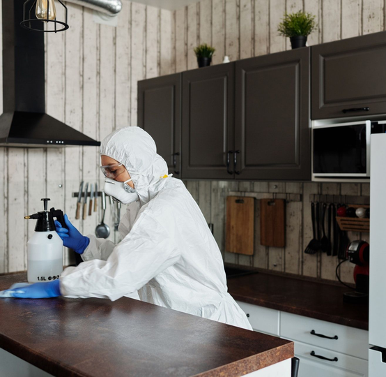 Carpet & Upholstery DeepAlways Cleaning